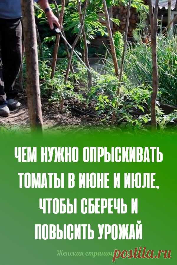 Чем нужно опрыскивать томаты в июне и июле, чтобы сберечь и повысить урожай  | Огород, Сад, Современное садоводство в огороде дача огород цветы   красиво  сад и огород  сделай сам для дачи огород ру

садовый декор