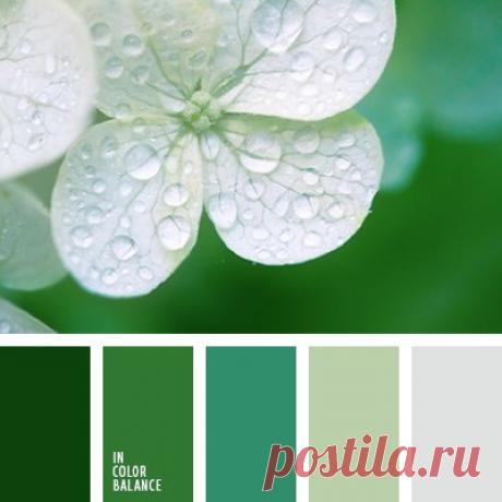 Цветовые сочетания
Холодные оттенки