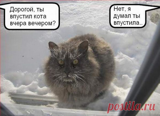 97e6c57381047f6b1e6020b754a0106c.jpg (700×510)