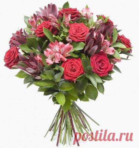 Интересные новости