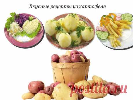 Самые вкусные блюда из картофеля.