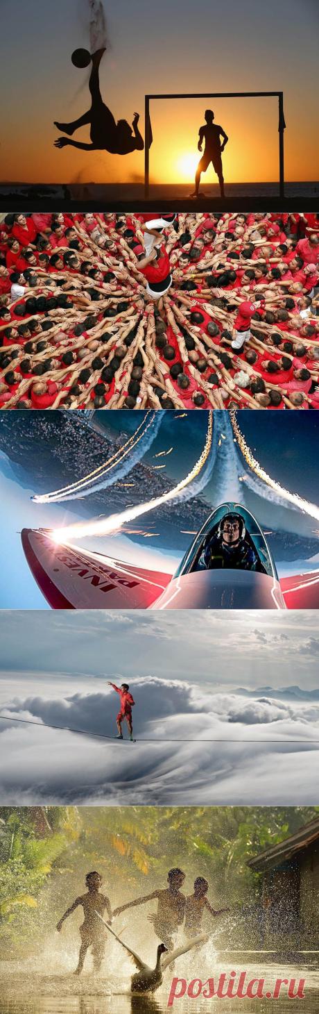 ФотоТелеграф » 25 самых удачных кадров июня