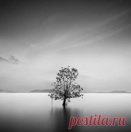 Черно-белые фотографии