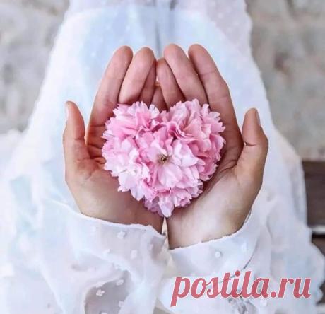 (12) Facebook
