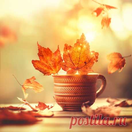 Ode to Autumn by Ashraful Arefin / 500px