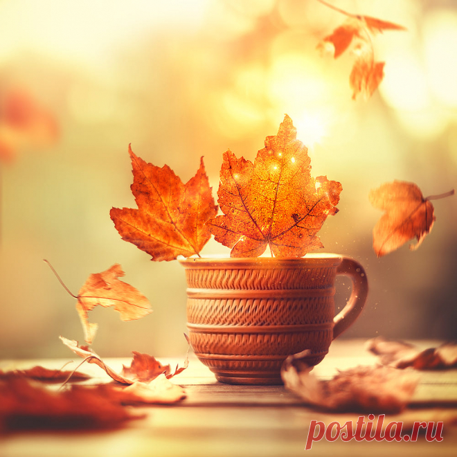 Ode to Autumn by Ashraful Arefin / 500px