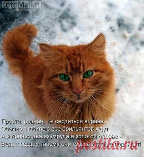 Подарок к юбилею
