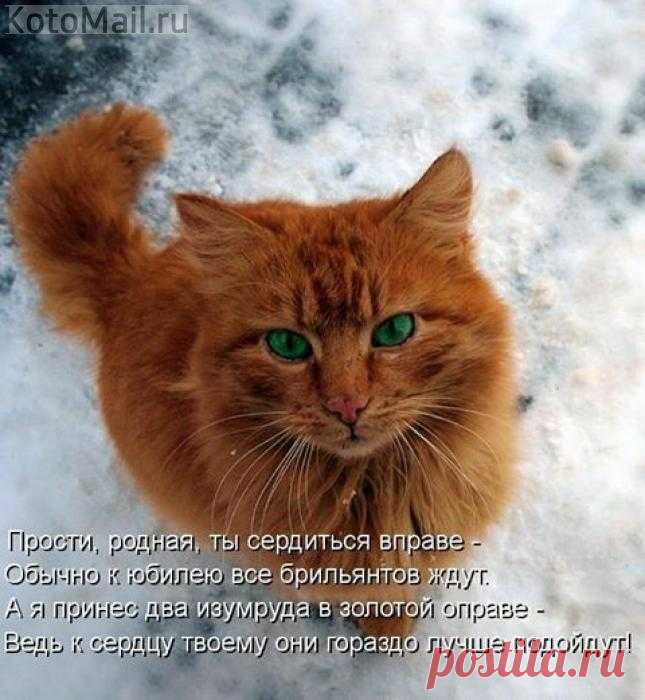 Подарок к юбилею