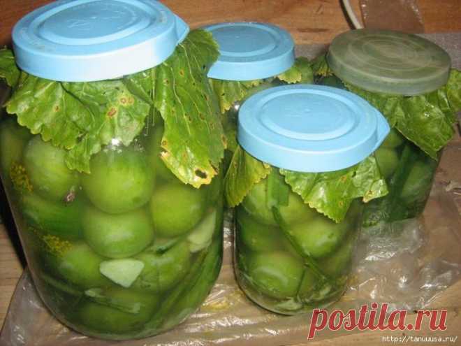 Соленые зеленые помидоры. Сама солила.