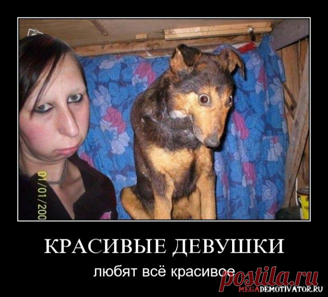 Смешные картинки - 152