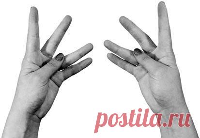 Дневник ZVEROBOY_7968