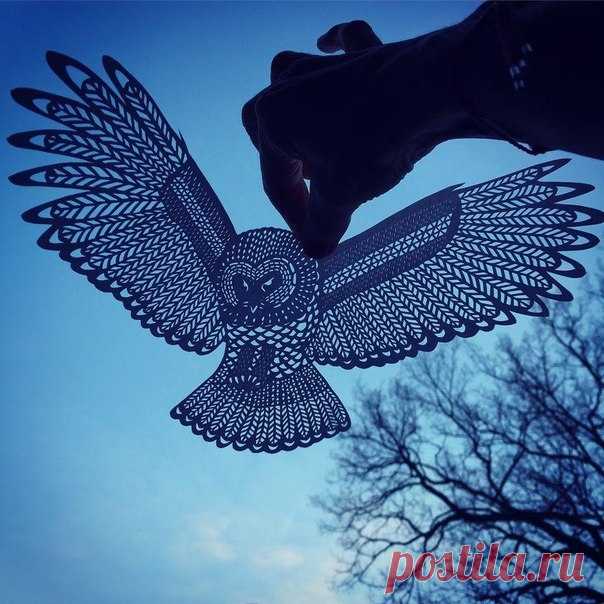 Художник Джо Чорни при помощи канцелярского ножа вырезает сложные узоры в виде животных из листов бу