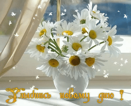 (1) Мой Мир@Mail.Ru