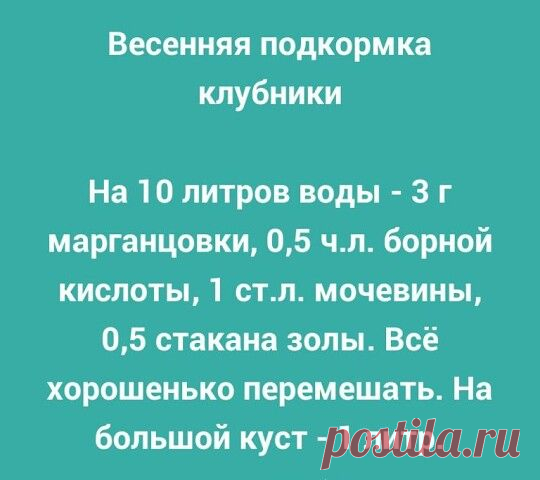 Уютный сад: цветы, дача, флористика, огород — Разное | OK.RU