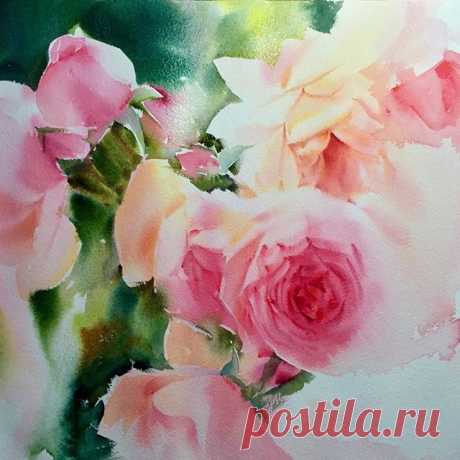 "Inspired by the morning light"
Work in progress 
By Adisorn Pornsirikarn
#thailand #watercolorpainting #watercolorist #watercolor #rose #roses