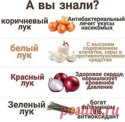 Наглядная польза лука 
#полезныесоветы