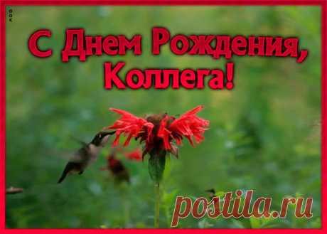Анимационная Картинка с днем рождения коллеге женщине - отправить бесплатно по электронной почте и в соц. сетях. Каталог прикольных открыток с днем рожедния для коллег.