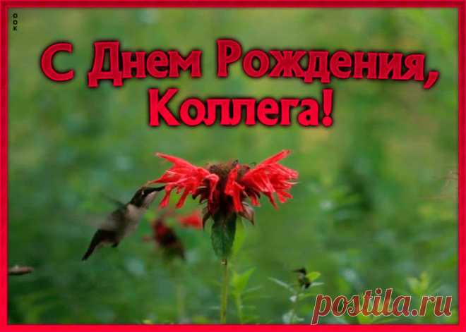 Анимационная Картинка с днем рождения коллеге женщине - отправить бесплатно по электронной почте и в соц. сетях. Каталог прикольных открыток с днем рожедния для коллег.
