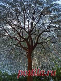 Pinterest