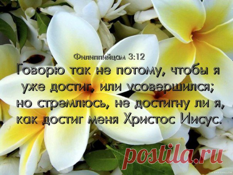Слово Твое — светильник ноге моей и свет стезе моей

ПСАЛТИРЬ, 118:105
У нас, христиан, есть только один авторитет, один компас — это Слово Божье.

Среди тысяч громких голосов, предлагающих свою правду и утверждающих свой авторитет, один тихий Голос скажет нам истину. Что это за голос? Это писаное Слово, данное нам Самим Богом, чтобы мы знали, во что верить и как жить. Как сказал псалмопевец, «Откровение слов Твоих просвещает» (Пс 118:130).