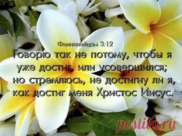 Слово Твое — светильник ноге моей и свет стезе моей

ПСАЛТИРЬ, 118:105
У нас, христиан, есть только один авторитет, один компас — это Слово Божье.

Среди тысяч громких голосов, предлагающих свою правду и утверждающих свой авторитет, один тихий Голос скажет нам истину. Что это за голос? Это писаное Слово, данное нам Самим Богом, чтобы мы знали, во что верить и как жить. Как сказал псалмопевец, «Откровение слов Твоих просвещает» (Пс 118:130).