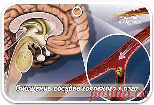(51) Одноклассники