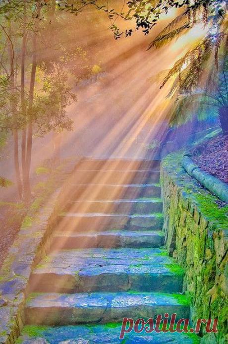 – Google+