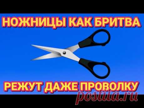 Как ПРОСТО заточить любые ножницы дома , до бритвенной остроты за 1 МИНУТУ