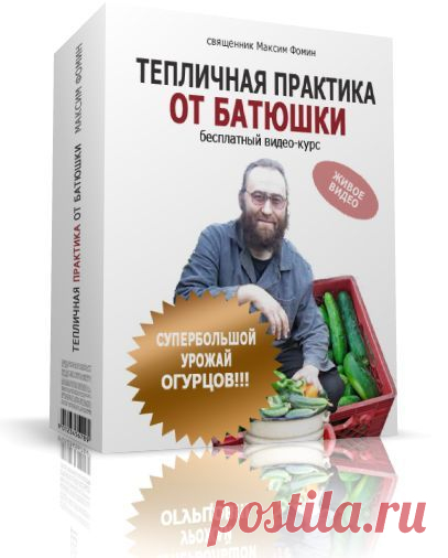 Хотите много огурцов? Получите бесплатный курс по выращиванию огурцов.