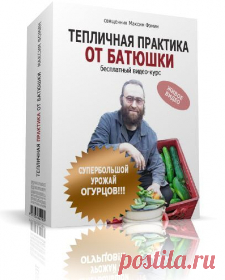 Хотите много огурцов? Получите бесплатный курс по выращиванию огурцов.