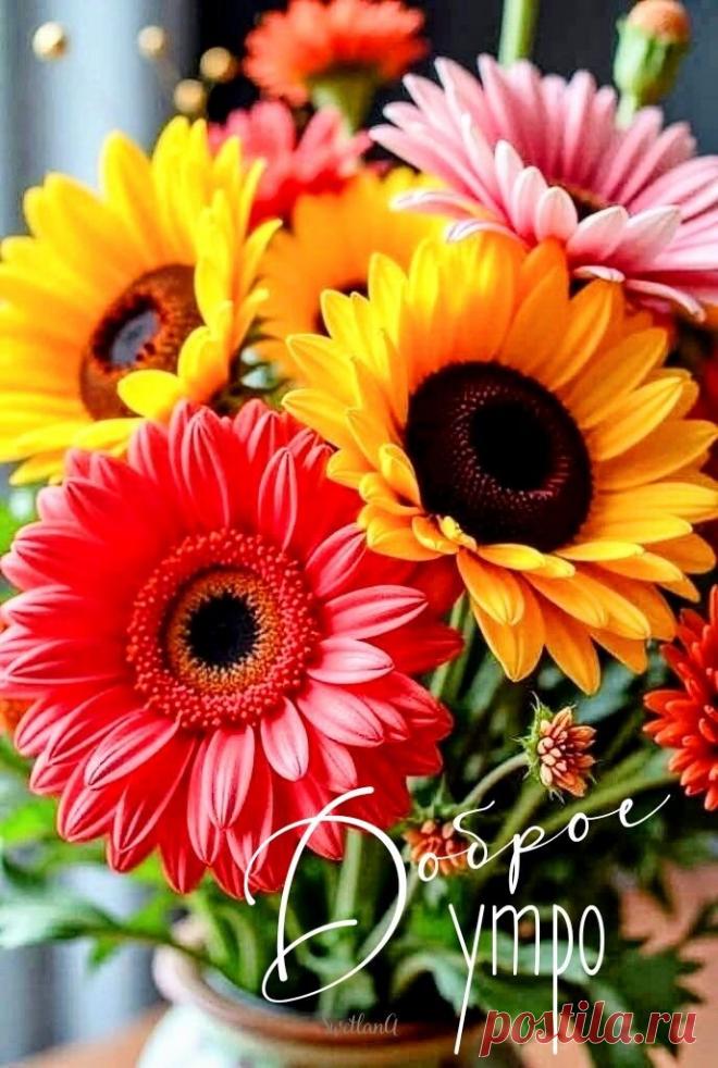 Доброе утро