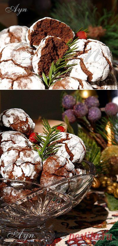 Шоколадное печенье «Трюфель» | Мои Кулинарные Зарисовки