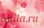 Без заголовка