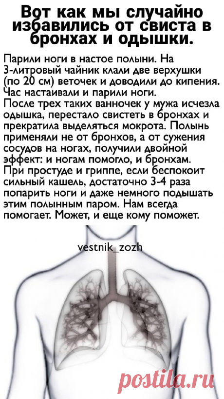Вот как мы случайно избавились от свиста в бронхах и одышки.