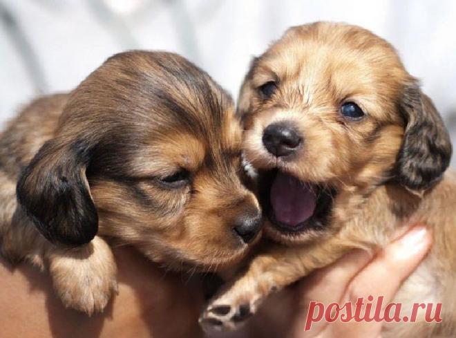 Вам и не снилось...
юлия кузьмина