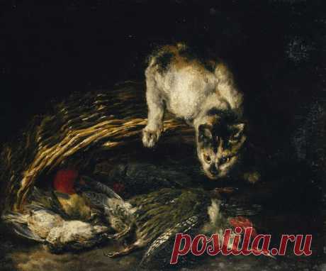 Ян Фит (1611-1661, фламандец)