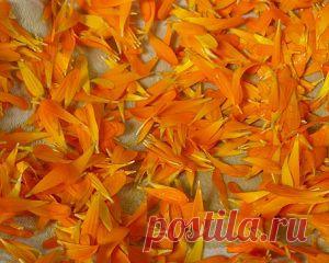 Как снять интоксикацию организма?