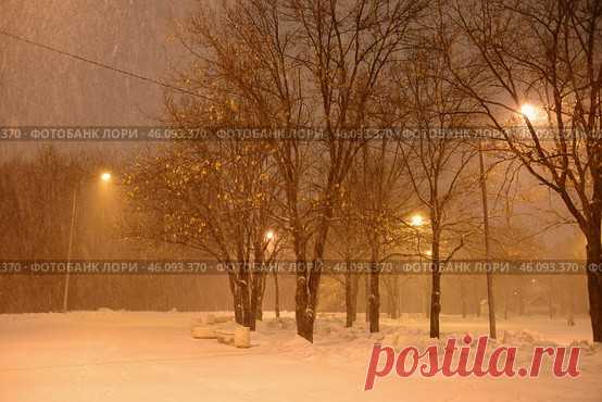 A snowy street with trees and street lights at winter night. Парк имени 50-летия Октября ночью зимой. Стоковое фото, фотограф Ilaronsia / Фотобанк Лори