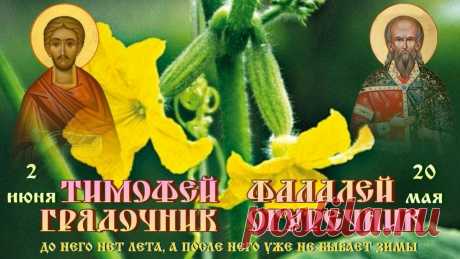 Желаем жизнью наслаждаться,
По мелочам не унывать,
Желаем весело смеяться
И всюду счастье подмечать.