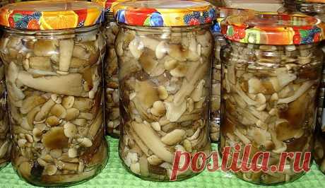 Одноклассники