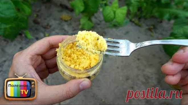 МУРАВЬЕВ У ВАС БОЛЬШЕ НЕ БУДЕТ!!! МОЩНОЕ И ЭФФЕКТИВНОЕ СРЕДСТВО