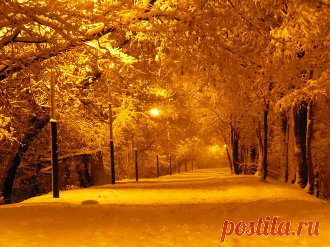 ФОТОМАСТЕРСКАЯ ПРИРОДЫ
Александр Тимофеев
