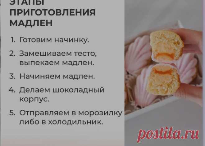 Скриншот-20-08-2025 16:05:05.jpg
