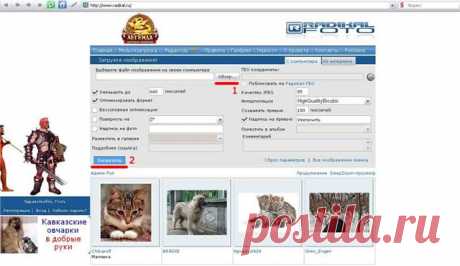 Как правильно загрузить фото на радикал?