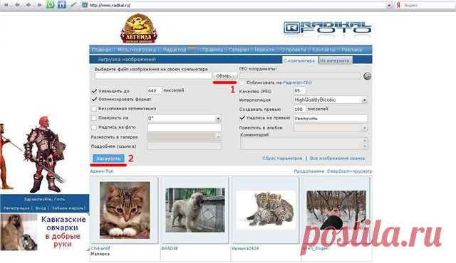 Как правильно загрузить фото на радикал?
