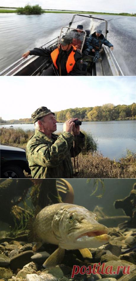 Незнание закона не освобождает от ответственности. За что можно получить штраф на рыбалке