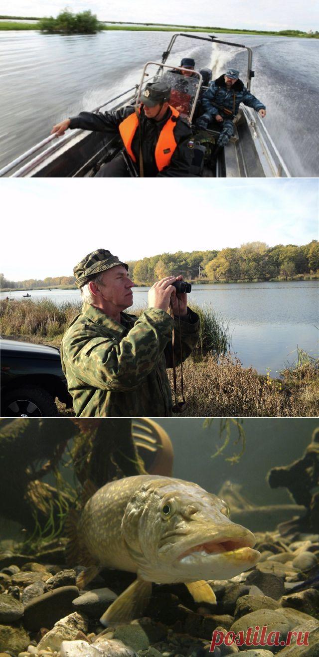 Незнание закона не освобождает от ответственности. За что можно получить штраф на рыбалке