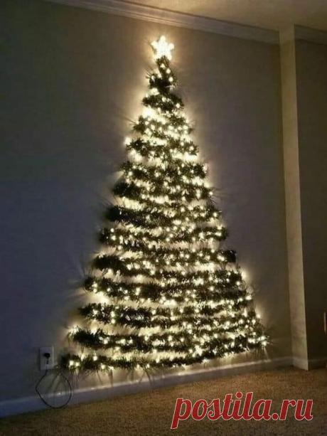 77066435_1809372072530112_5869379255900569600_n.jpg (563×750)
