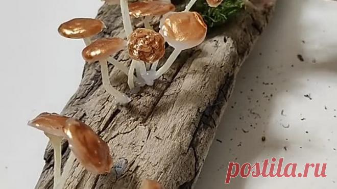 Грибочки для интерьера.