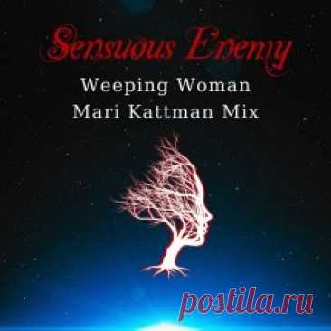 Sensuous Enemy - Weeping Woman (Mari Kattman Mix) (2025) [Single] Artist: Sensuous Enemy Album: Weeping Woman (Mari Kattman Mix) Year: 2025 Country: USA Style: Darkwave, EBM, Synthpop